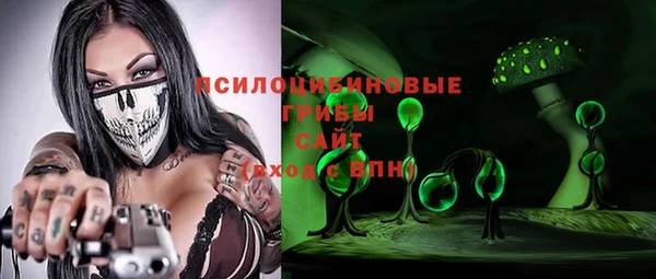 PSILOCYBIN Новокубанск