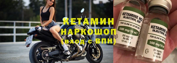 гидра Вязьма