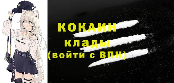 Альфа ПВП Новозыбков