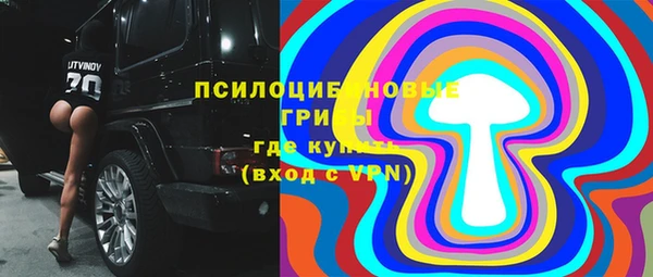 МДПВ Краснотурьинск