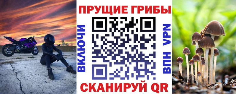 наркошоп  Касимов  Галлюциногенные грибы GOLDEN TEACHER 