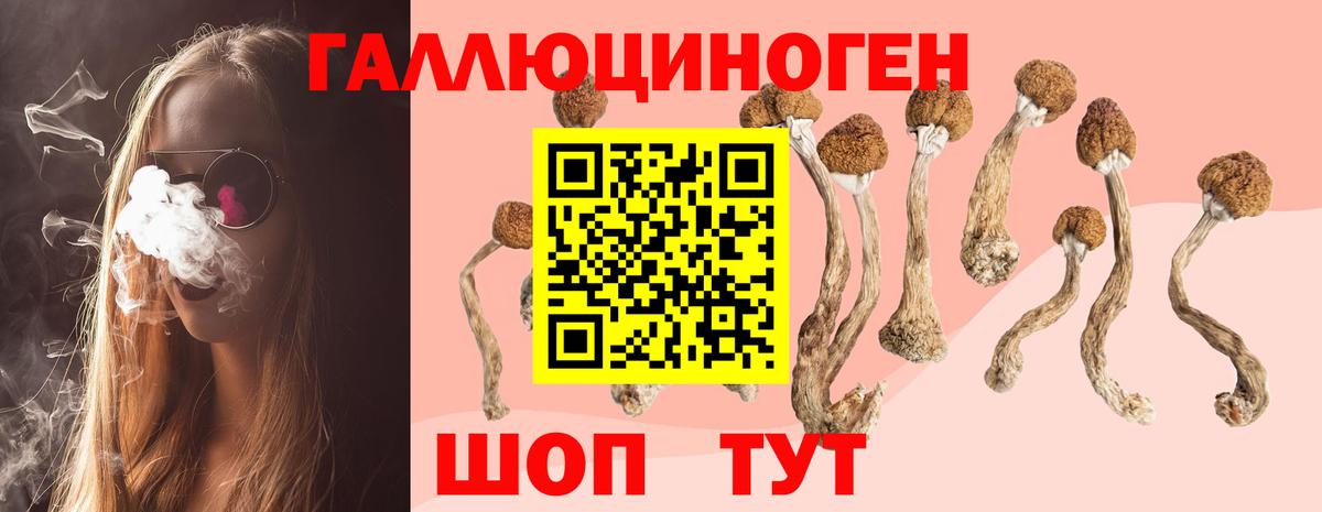 Галлюциногенные грибы MAGIC MUSHROOMS Касимов