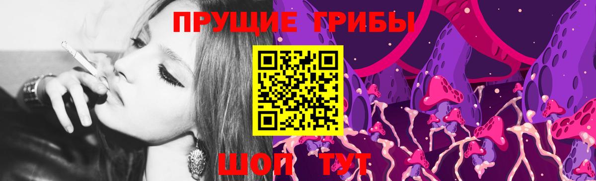 Касимов  Псилоцибиновые грибы MAGIC MUSHROOMS  Вход с VPN 