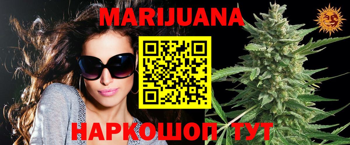 Марихуана сатива  Бошки Шишки план  Шишки марихуана планчик  Вход с VPN  Касимов 